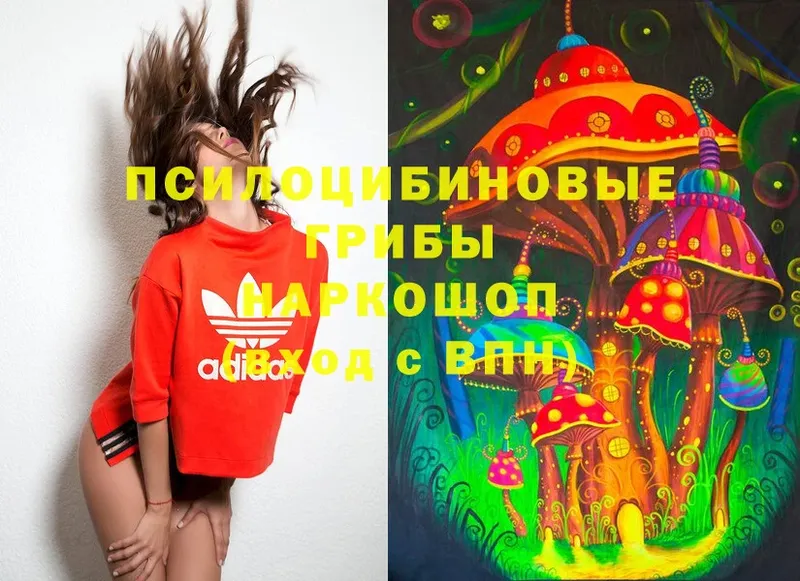 Псилоцибиновые грибы MAGIC MUSHROOMS  что такое наркотик  Вельск 